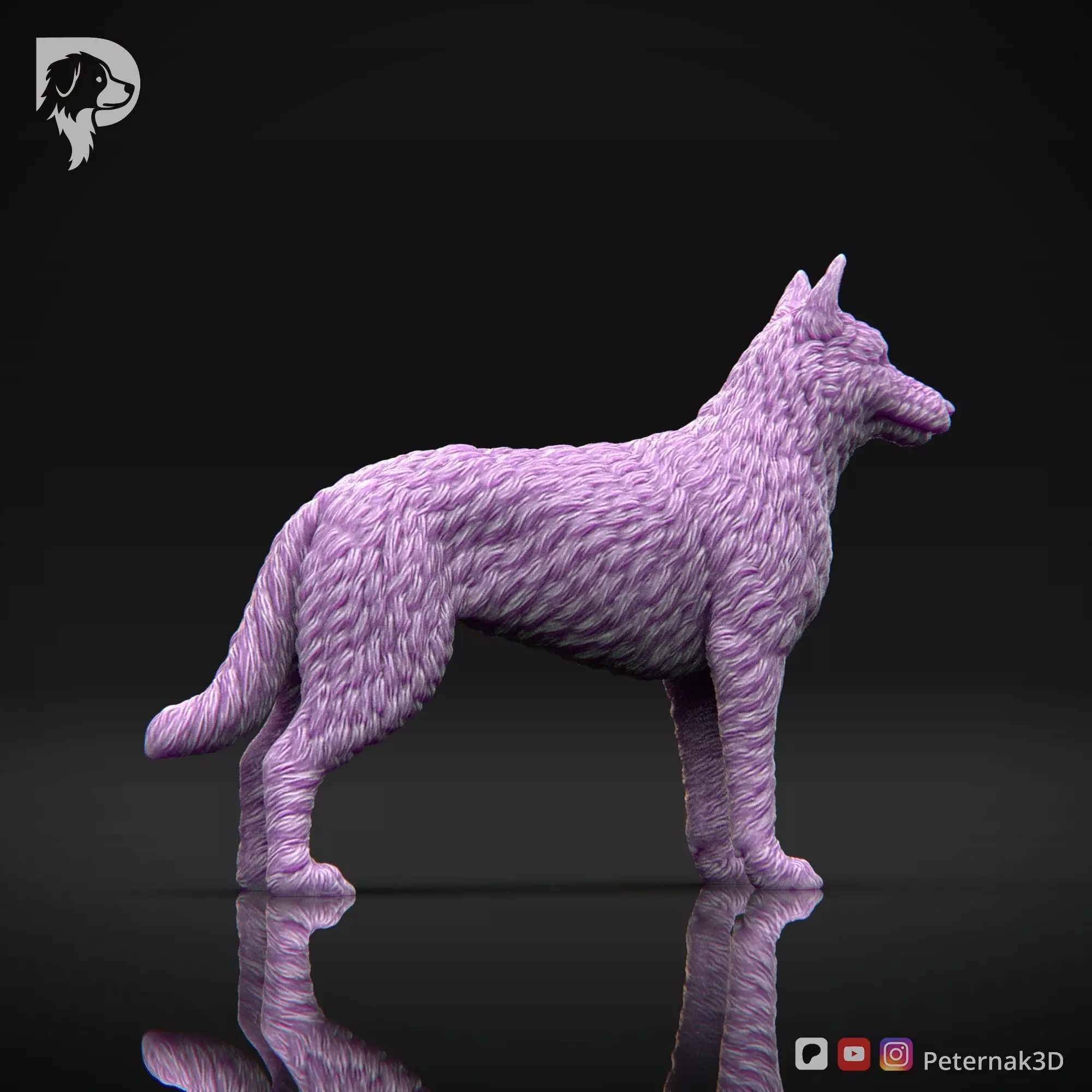 Dog 3D Print Model Belgian Shepherd Dog Laekenois Pose 01 STL 3D print model_5