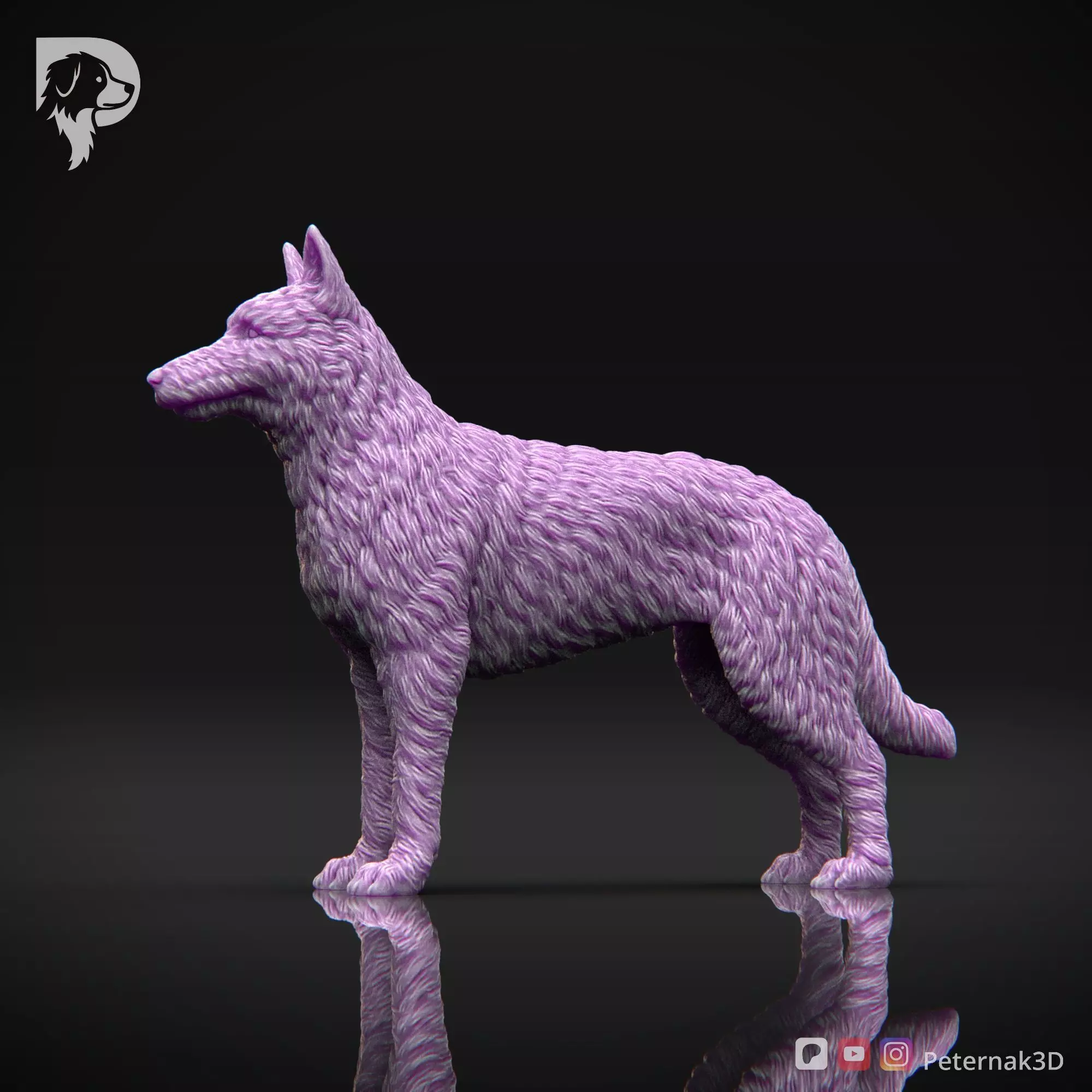 Dog 3D Print Model Belgian Shepherd Dog Laekenois Pose 01 STL 3D print model_10