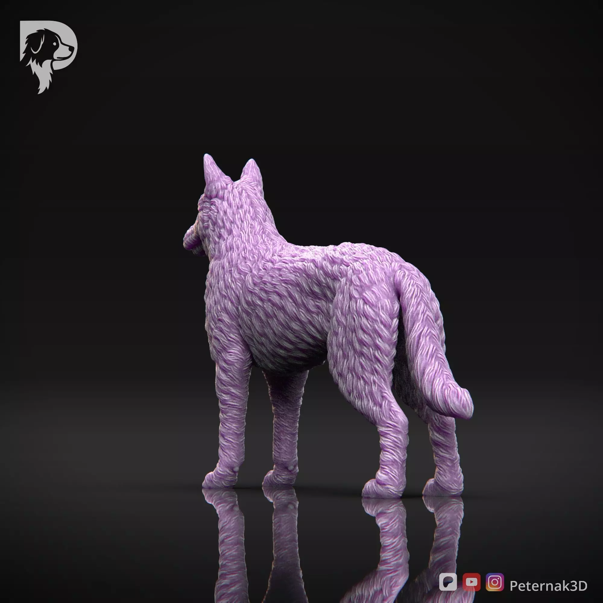 Dog 3D Print Model Belgian Shepherd Dog Laekenois Pose 01 STL 3D print model_8