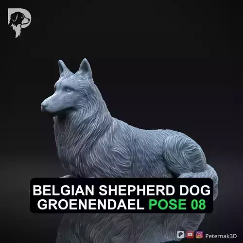 Dog 3D Print Model Belgian Shepherd Dog Groenendael Pose 08 STL