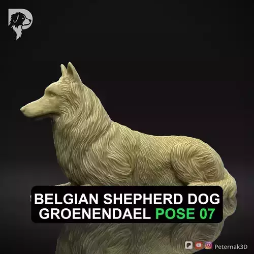 Dog 3D Print Model Belgian Shepherd Dog Groenendael Pose 07 STL