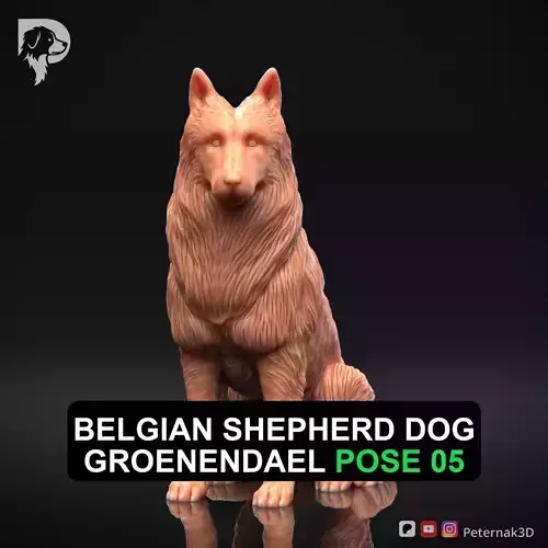 Dog 3D Print Model Belgian Shepherd Dog Groenendael Pose 05 STL