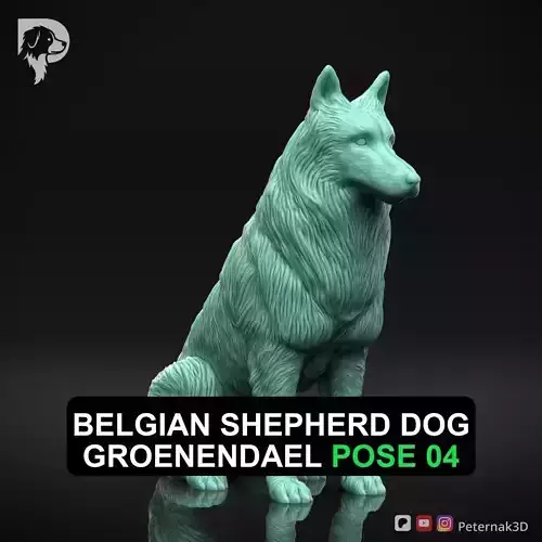 Dog 3D Print Model Belgian Shepherd Dog Groenendael Pose 04 STL