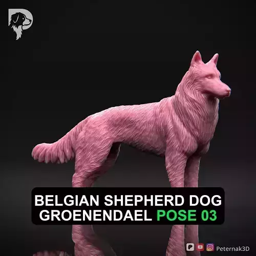 Dog 3D Print Model Belgian Shepherd Dog Groenendael Pose 03 STL