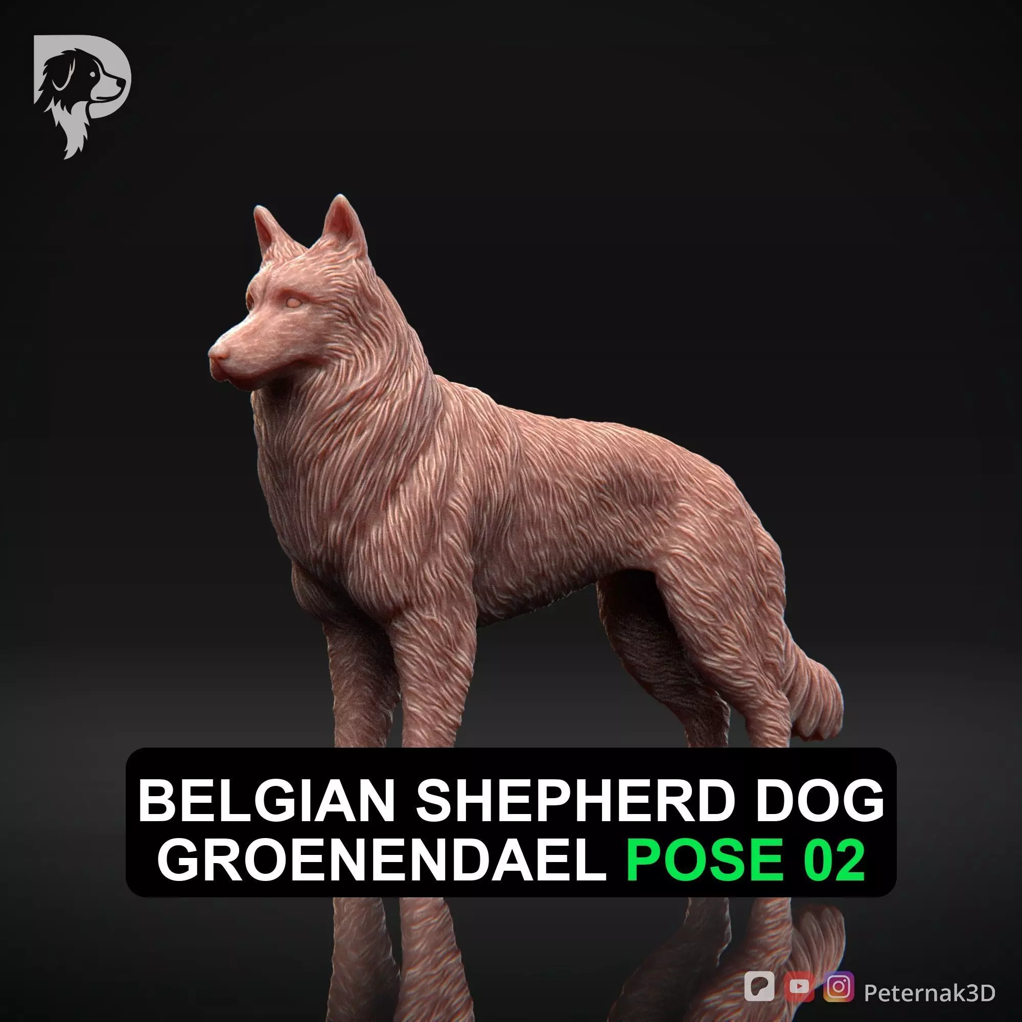 Dog 3D Print Model Belgian Shepherd Dog Groenendael Pose 02 STL 3D print model