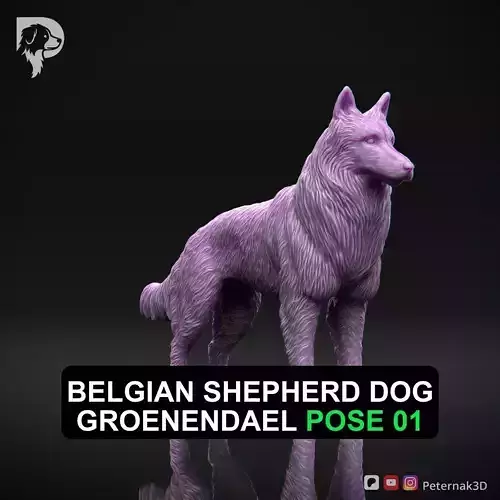 Dog 3D Print Model Belgian Shepherd Dog Groenendael Pose 01 STL