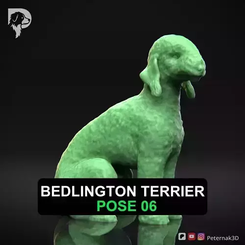 Dog 3D Print Model Bedlington Terrier Pose 06 Ready STL 3D print model