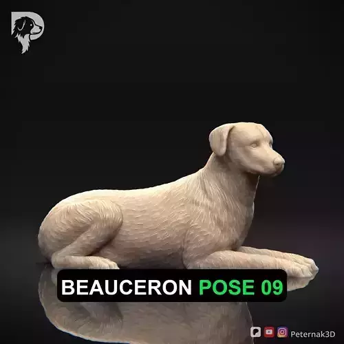 Dog 3D Print Model Beauceron Pose 09 Ready STL