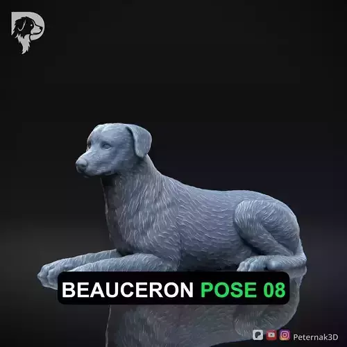 Dog 3D Print Model Beauceron Pose 08 Ready STL