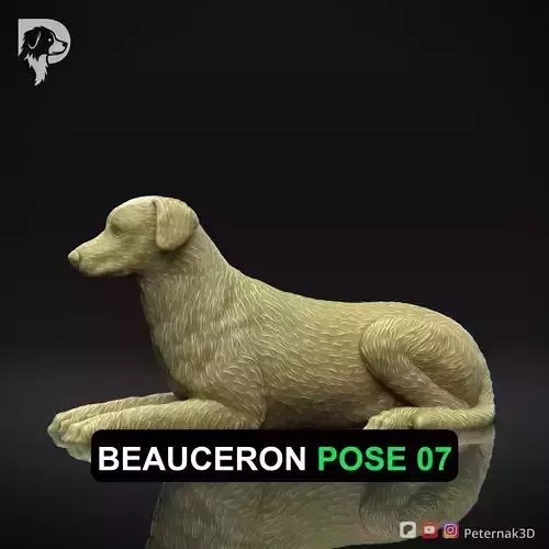 Dog 3D Print Model Beauceron Pose 07 Ready STL