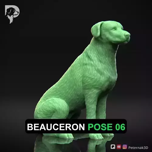 Dog 3D Print Model Beauceron Pose 06 Ready STL