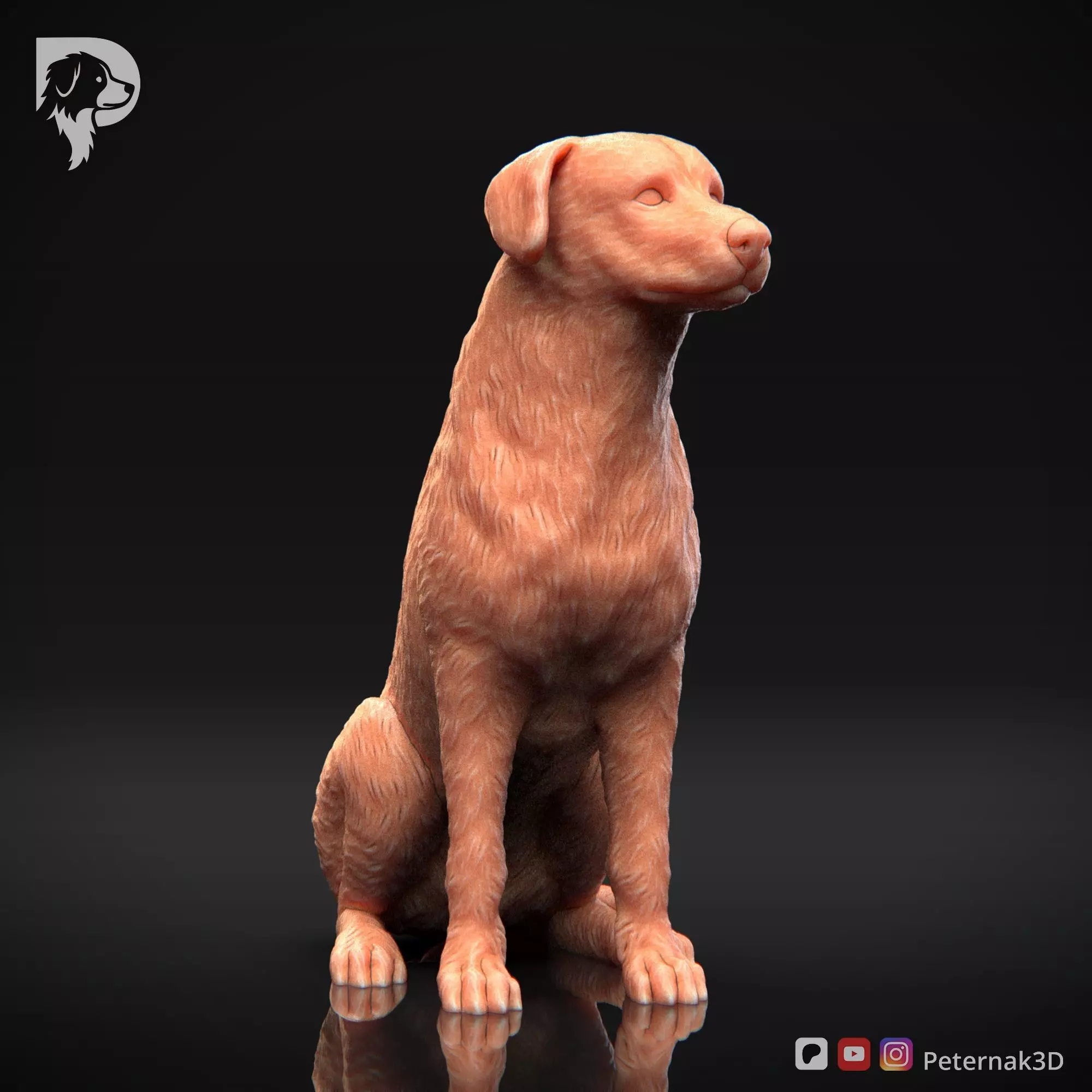 Dog 3D Print Model Beauceron Pose 05 Ready STL 3D print model_3