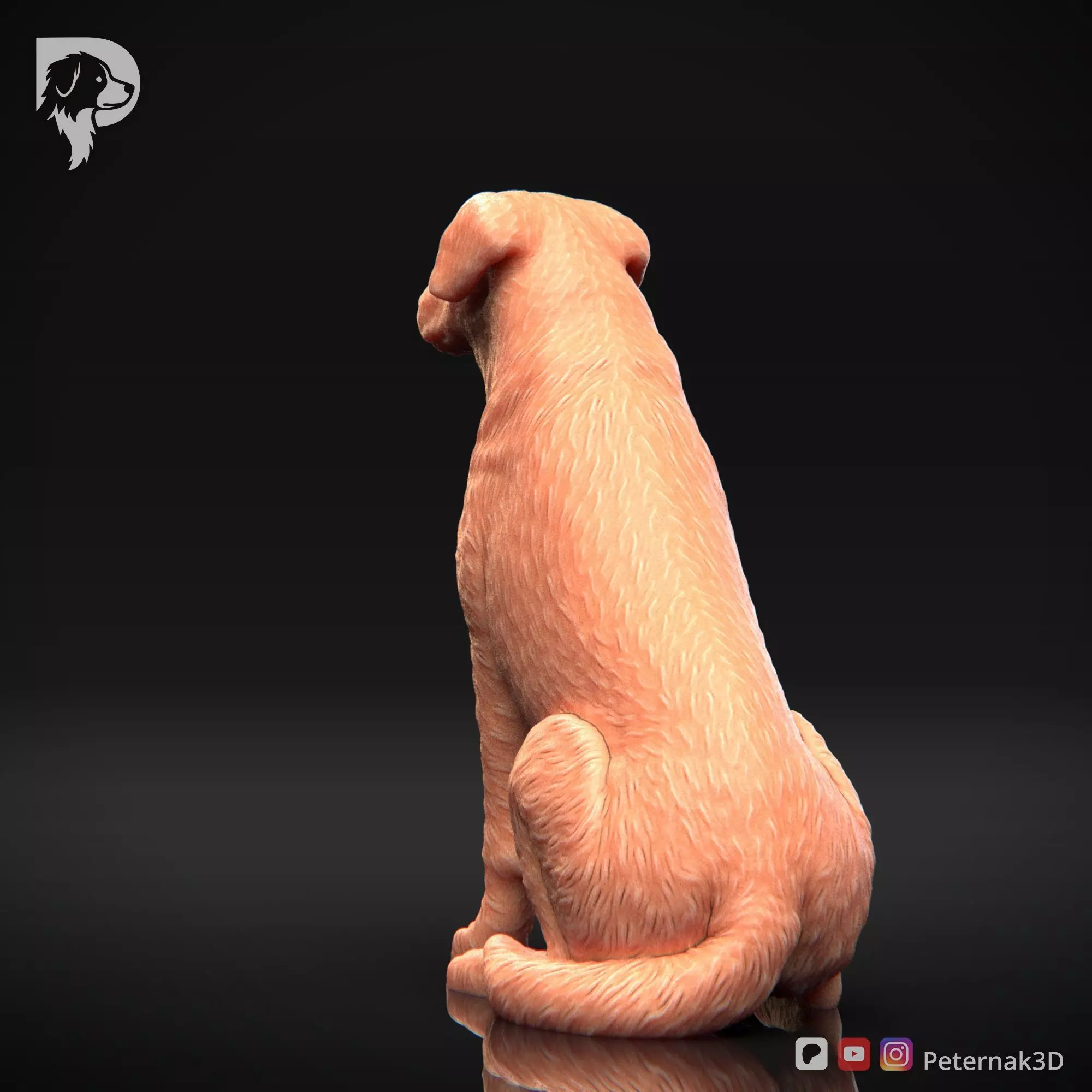 Dog 3D Print Model Beauceron Pose 05 Ready STL 3D print model_8