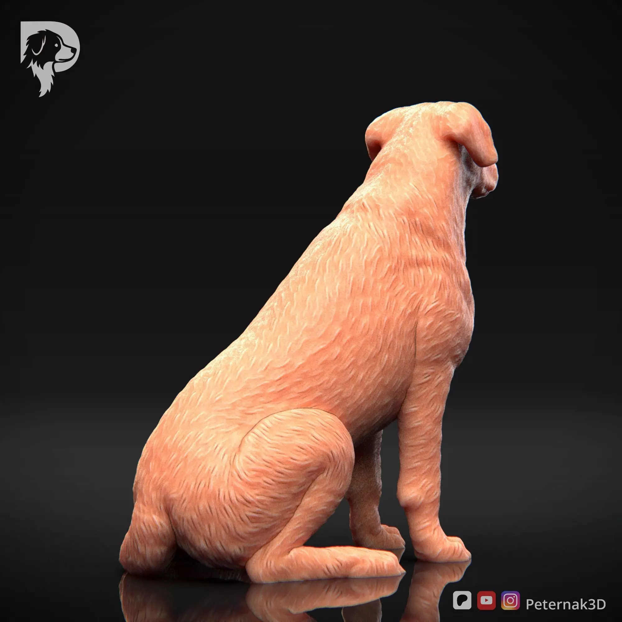 Dog 3D Print Model Beauceron Pose 05 Ready STL 3D print model_6