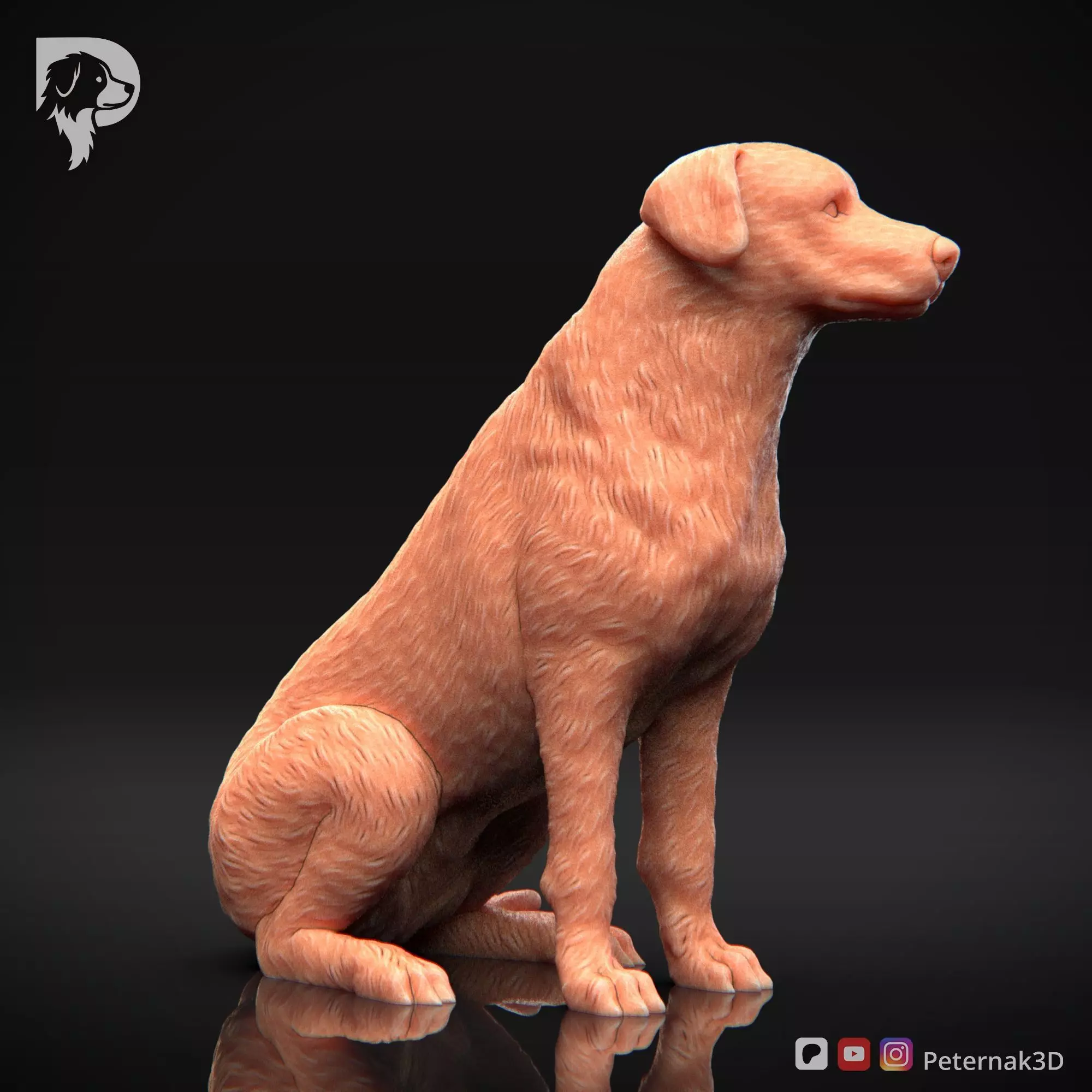 Dog 3D Print Model Beauceron Pose 05 Ready STL 3D print model_4