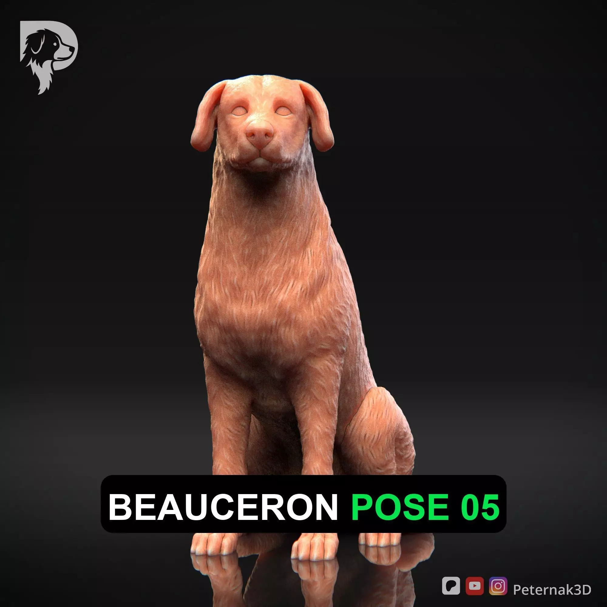 Dog 3D Print Model Beauceron Pose 05 Ready STL 3D print model_0