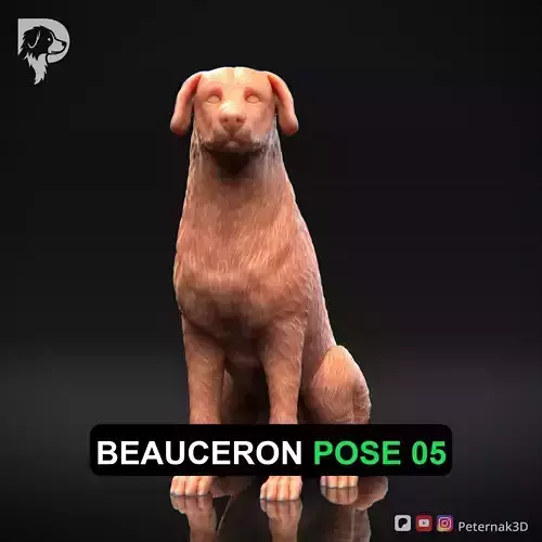 Dog 3D Print Model Beauceron Pose 05 Ready STL