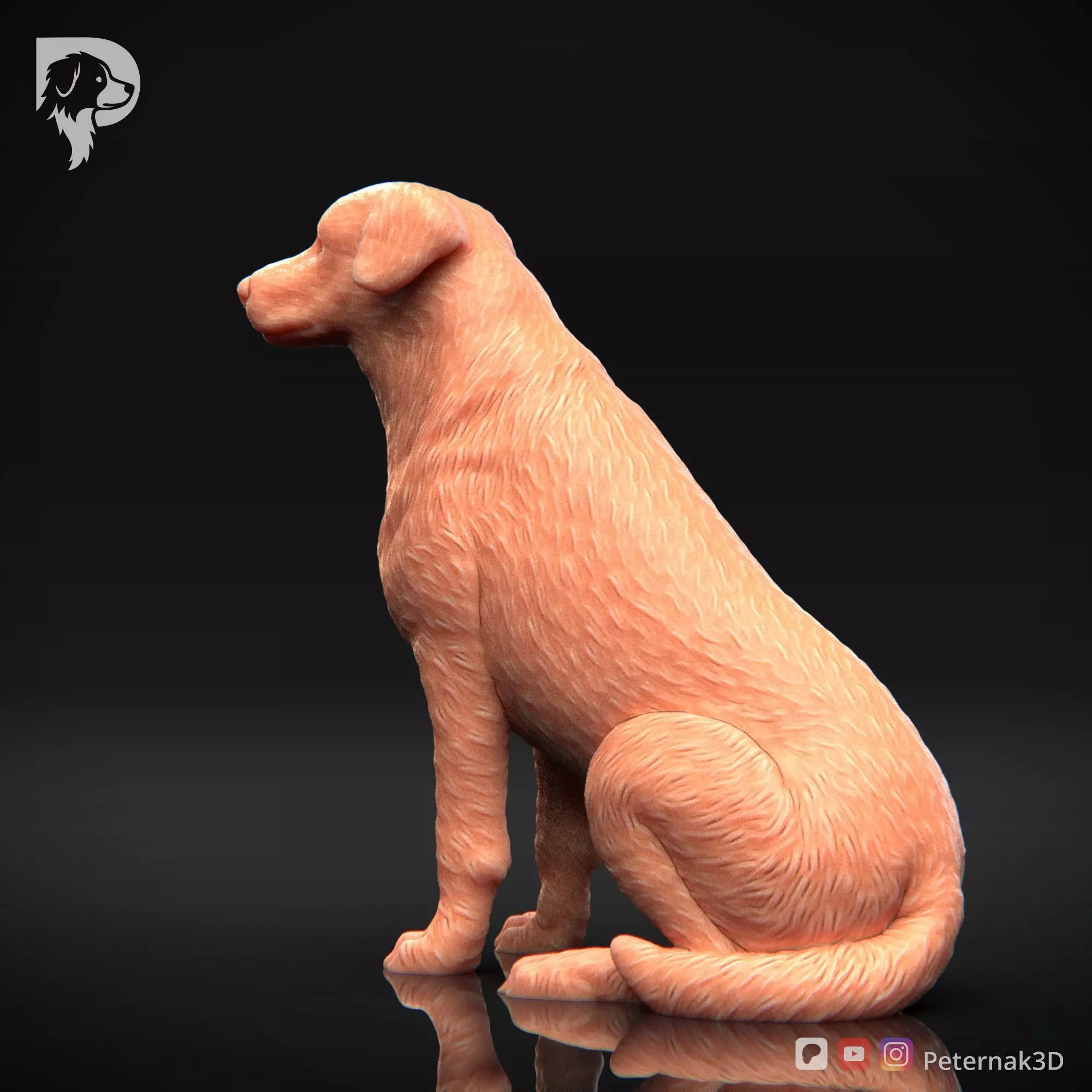 Dog 3D Print Model Beauceron Pose 05 Ready STL 3D print model_9