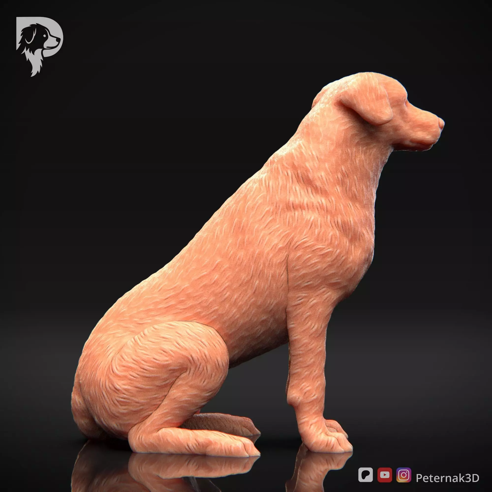 Dog 3D Print Model Beauceron Pose 05 Ready STL 3D print model_5