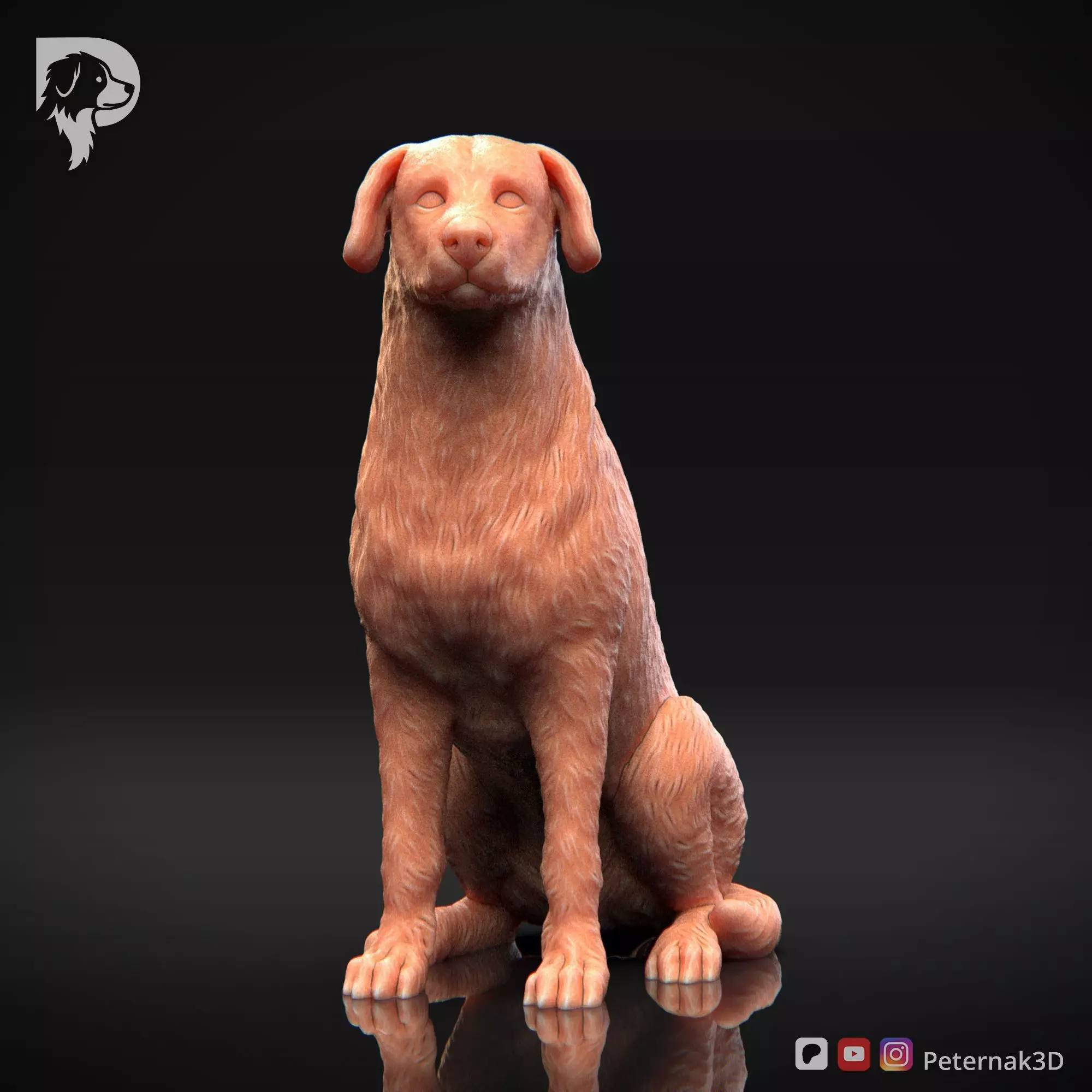 Dog 3D Print Model Beauceron Pose 05 Ready STL 3D print model_2
