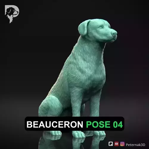 Dog 3D Print Model Beauceron Pose 04 Ready STL