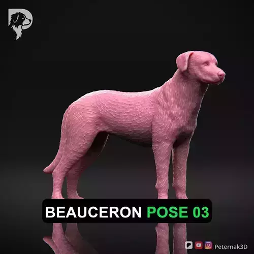 Dog 3D Print Model Beauceron Pose 03 Ready STL