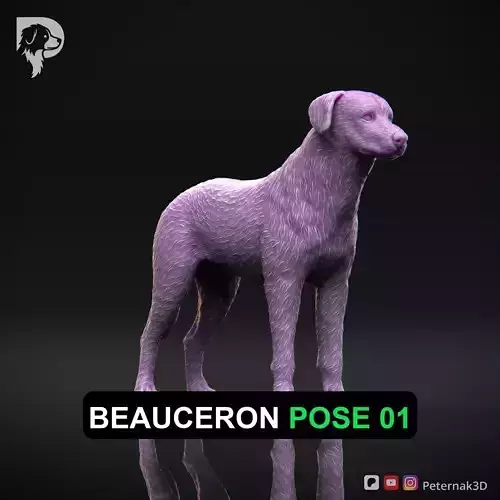 Dog 3D Print Model Beauceron Pose 01 Ready STL