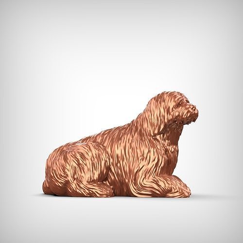 Bearded Collie 3D Print Model Pose 09 3D print model