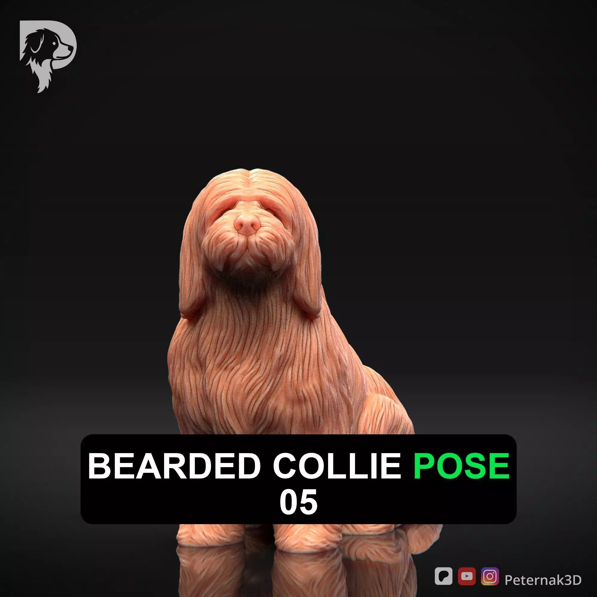 Dog 3D Print Model Bearded Collie Pose 05 Ready STL 3D print model