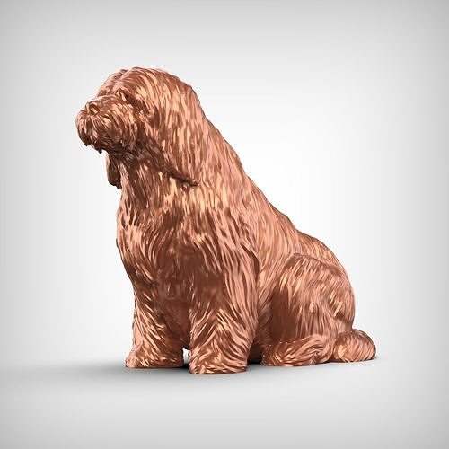 Bearded Collie 3D Print Model Pose 04 3D print model
