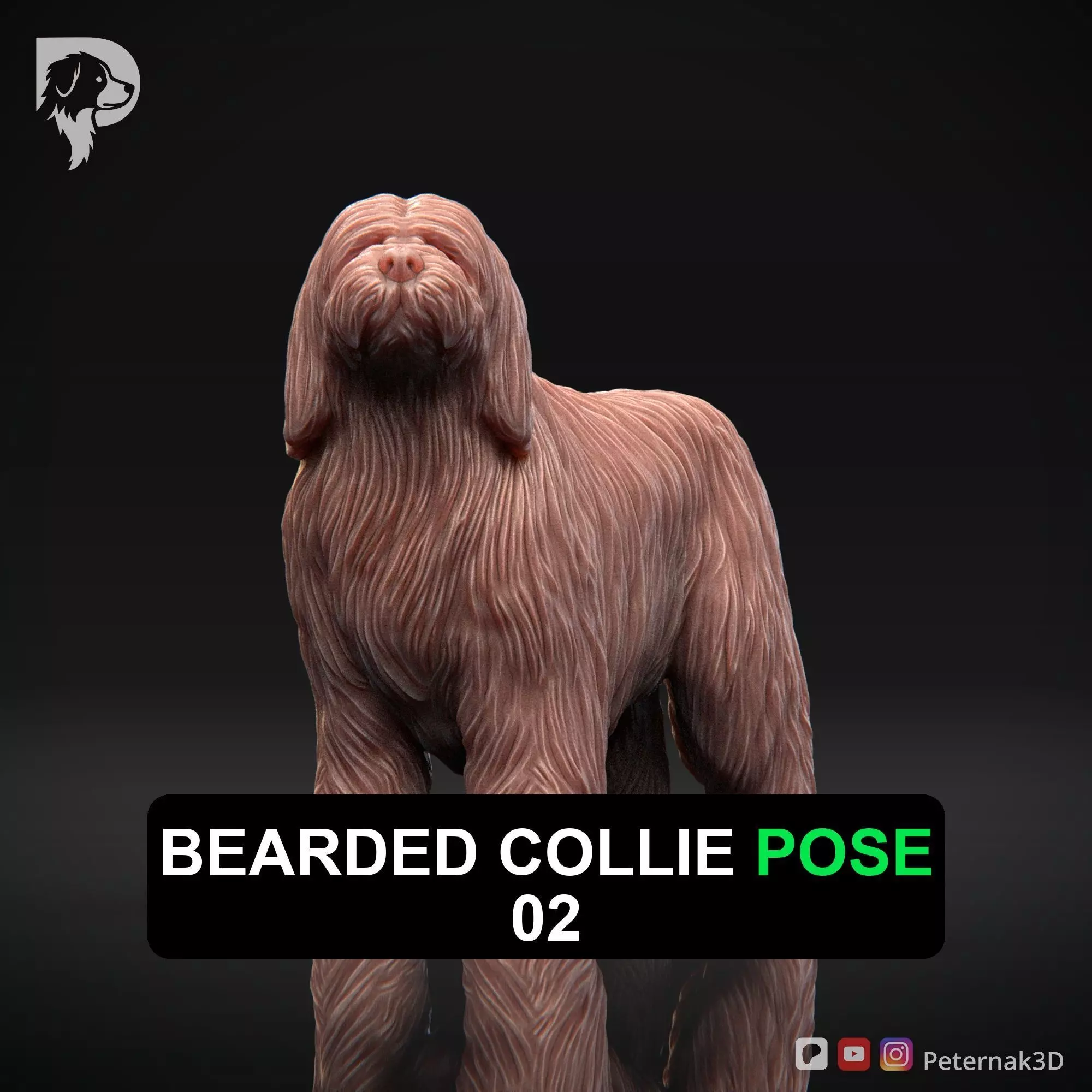Dog 3D Print Model Bearded Collie Pose 02 Ready STL 3D print model