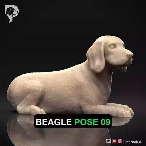 Dog 3D Print Model Beagle Pose 09 Ready STL