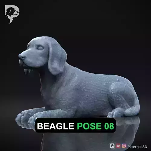 Dog 3D Print Model Beagle Pose 08 Ready STL