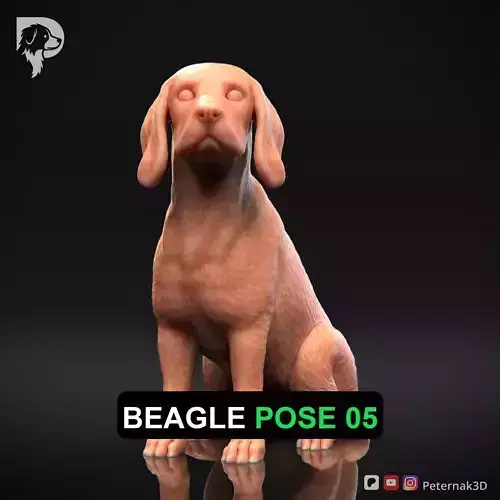 Dog 3D Print Model Beagle Pose 05 Ready STL