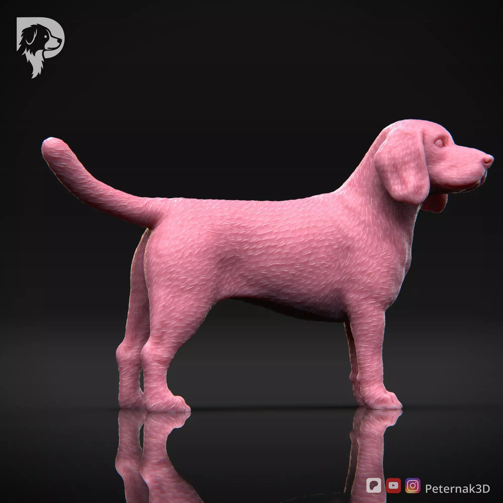 Dog 3D Print Model Beagle Pose 03 Ready STL 3D print model_5
