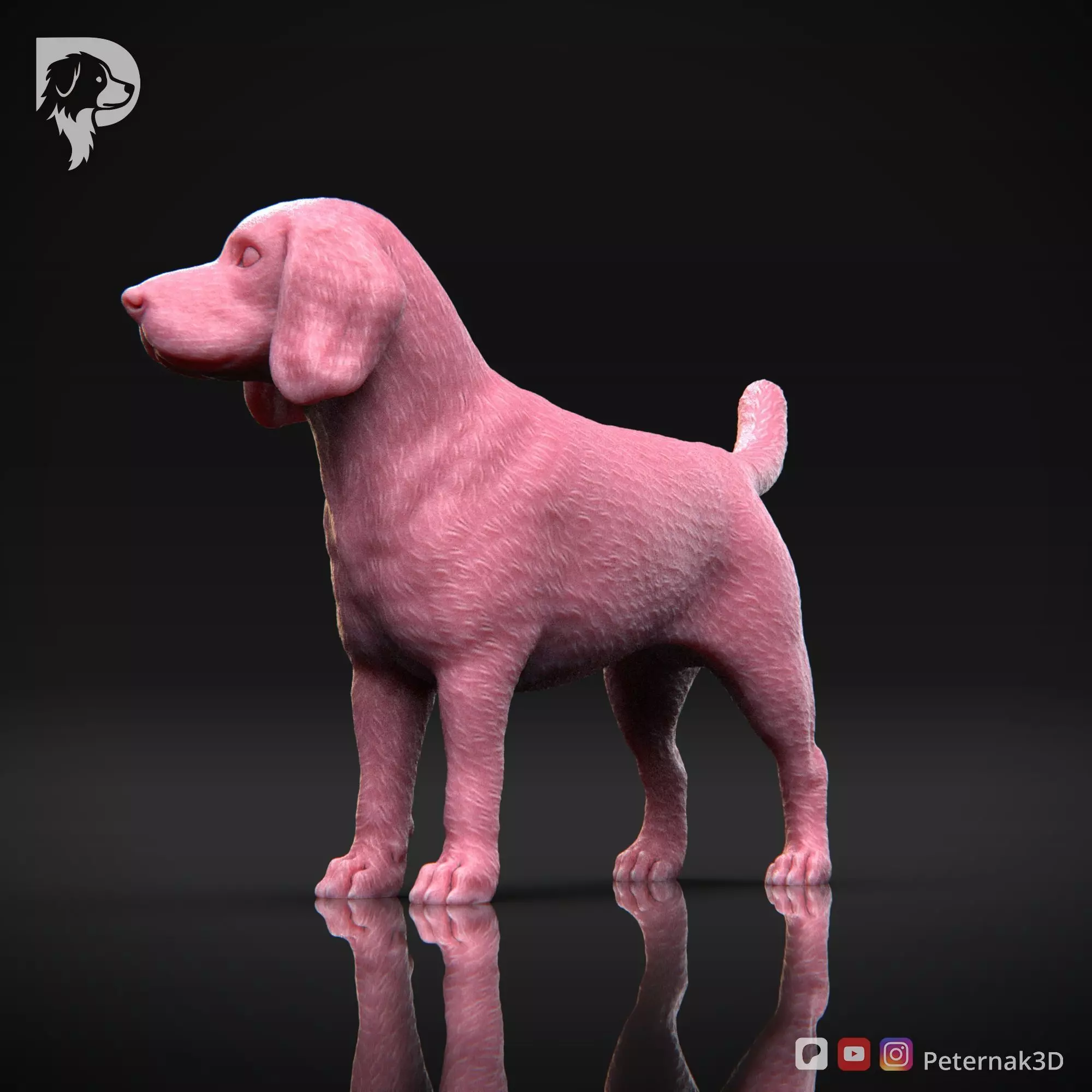 Dog 3D Print Model Beagle Pose 03 Ready STL 3D print model_11