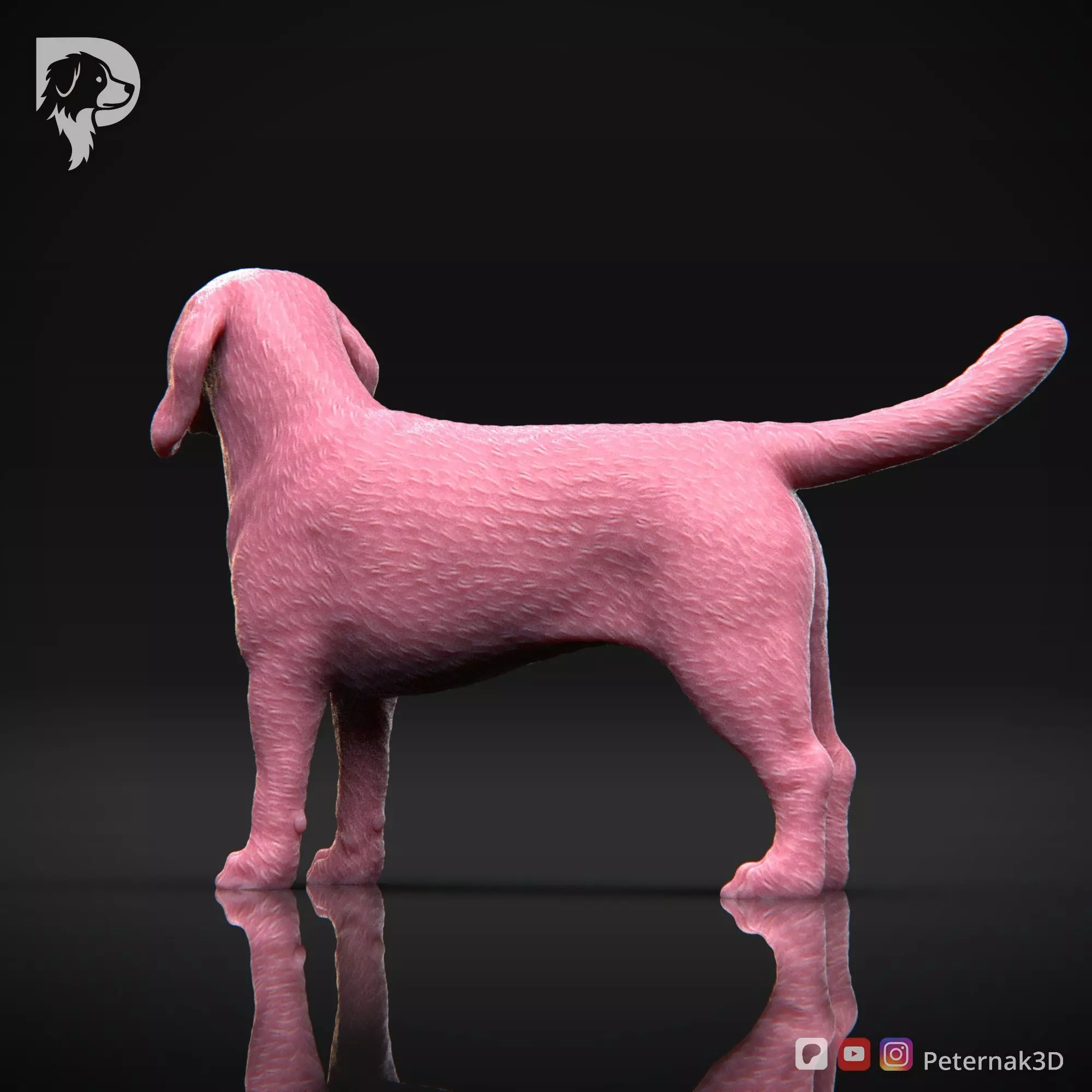 Dog 3D Print Model Beagle Pose 03 Ready STL 3D print model_9