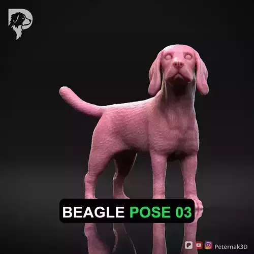 Dog 3D Print Model Beagle Pose 03 Ready STL