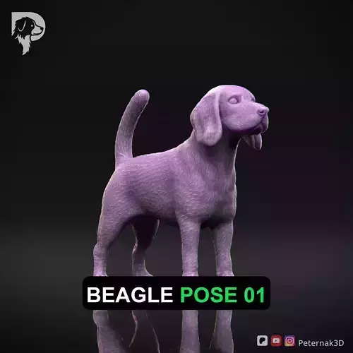 Dog 3D Print Model Beagle Pose 01 Ready STL