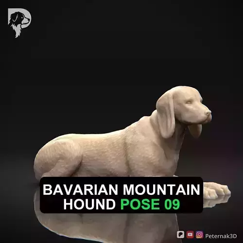 Dog 3D Print Model Bavarian Mountain Hound Pose 09 Ready STL
