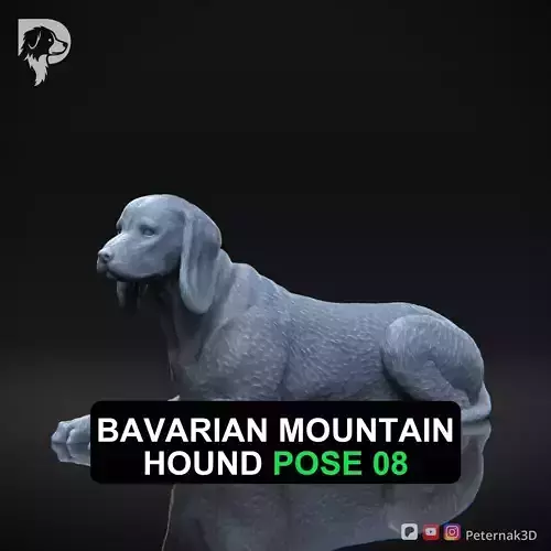 Dog 3D Print Model Bavarian Mountain Hound Pose 08 Ready STL