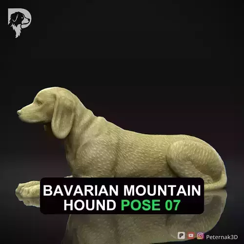 Dog 3D Print Model Bavarian Mountain Hound Pose 07 Ready STL