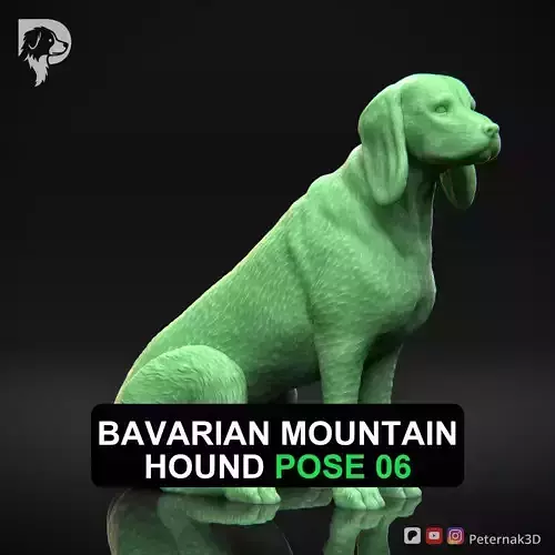 Dog 3D Print Model Bavarian Mountain Hound Pose 06 Ready STL