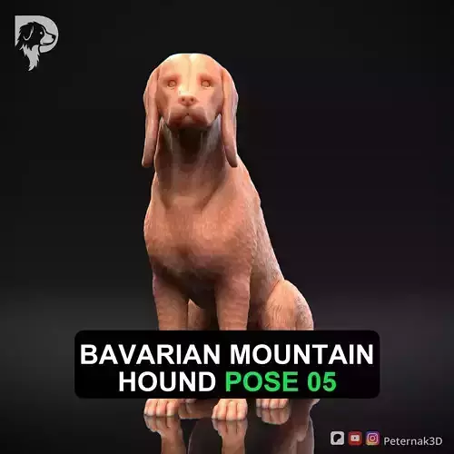Dog 3D Print Model Bavarian Mountain Hound Pose 05 Ready STL