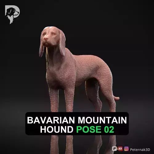 Dog 3D Print Model Bavarian Mountain Hound Pose 02 Ready STL