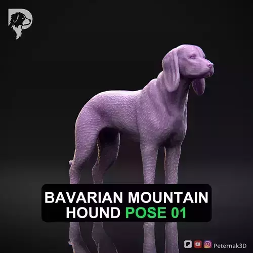 Dog 3D Print Model Bavarian Mountain Hound Pose 01 Ready STL