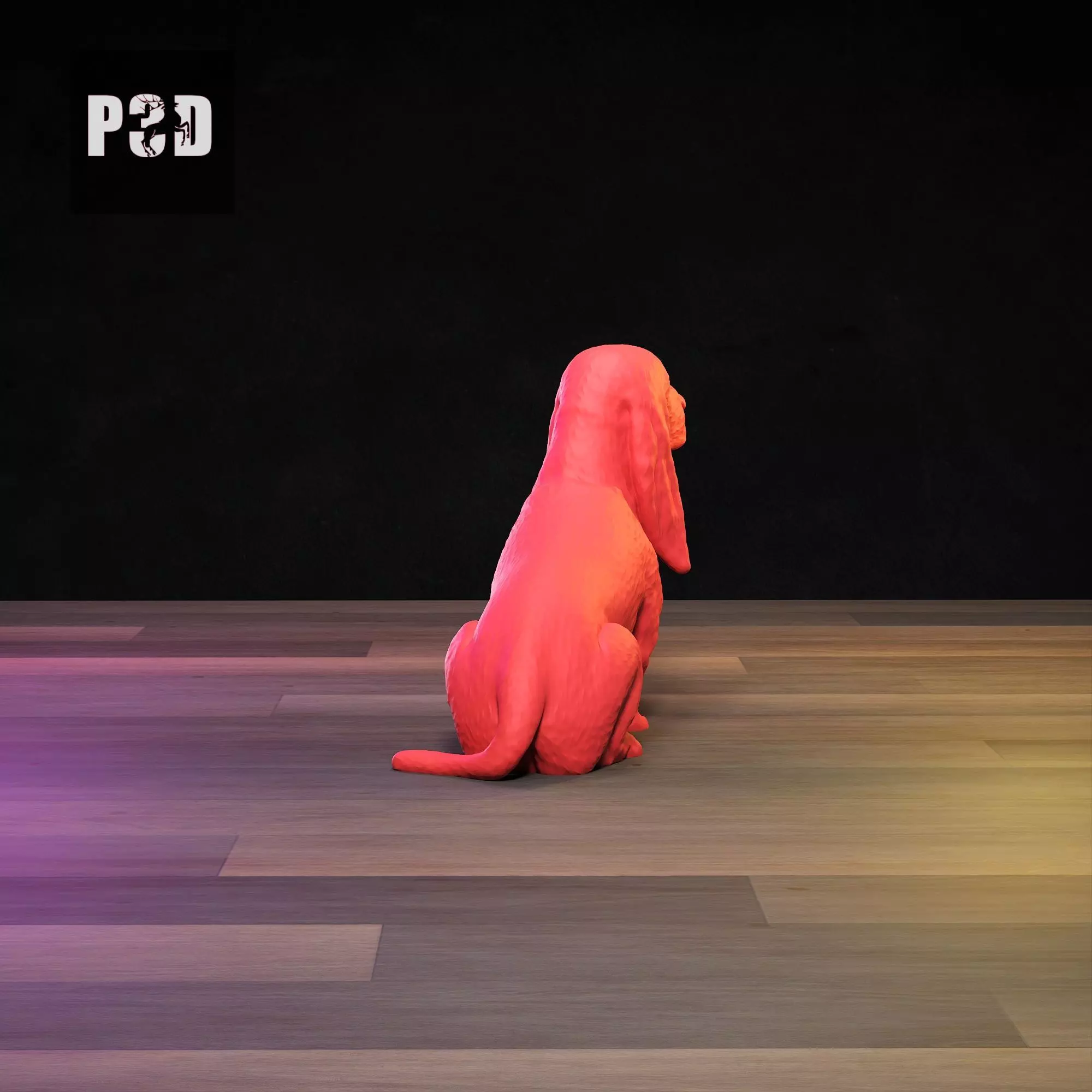 Basset Hound 3D Print Model Pose 06 3D print model_5