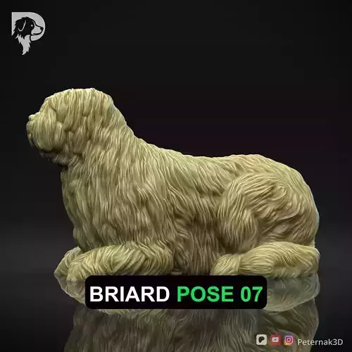 Dog 3D Print Model Briard Dog Pose 07 Ready STL