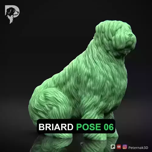 Dog 3D Print Model Briard Dog Pose 06 Ready STL