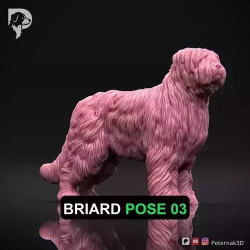 Dog 3D Print Model Briard Dog Pose 03 Ready STL
